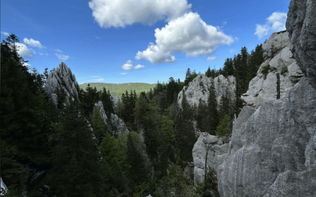 Snimka zaslona 2025-10-16 145427